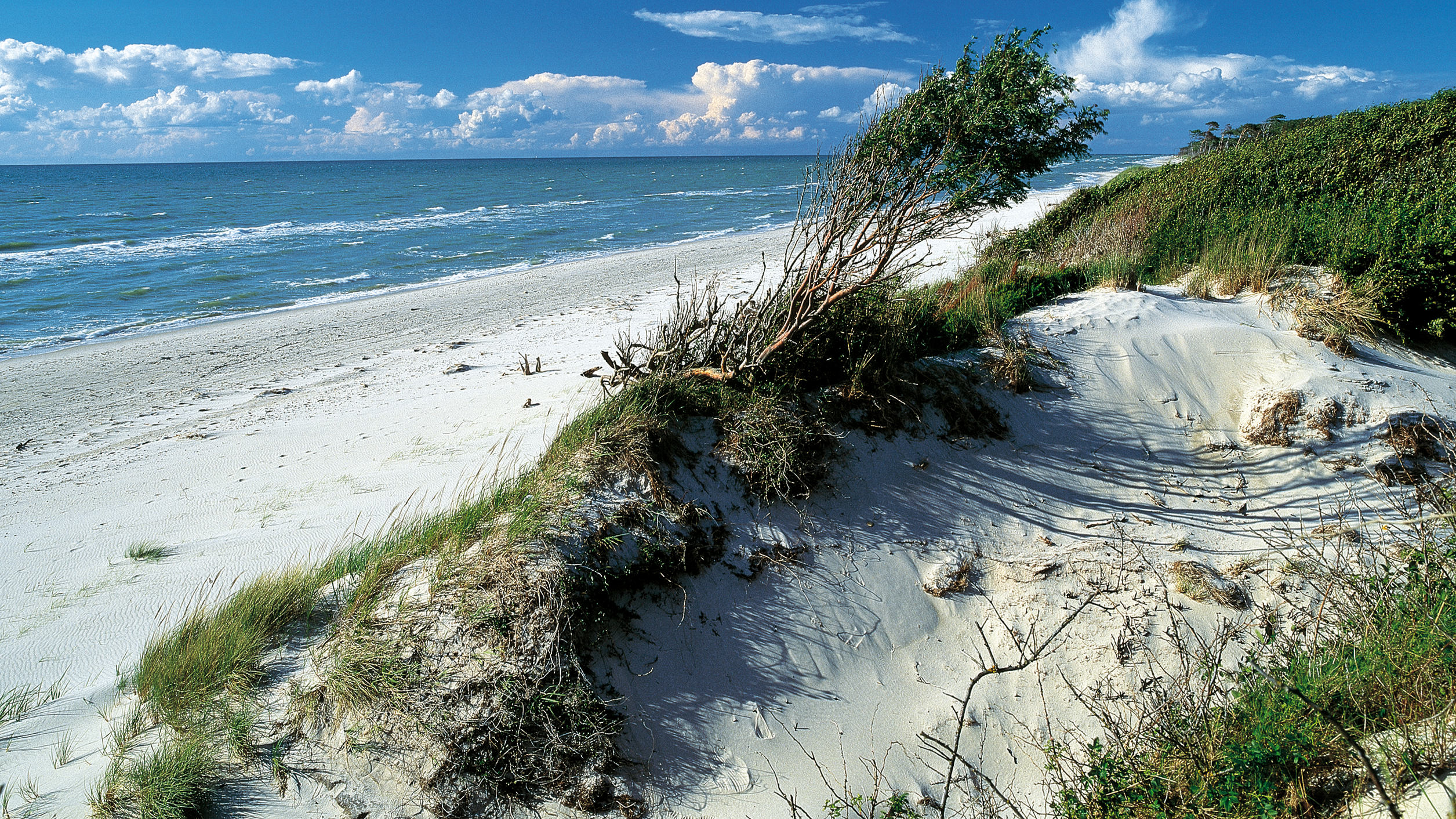 Fischland-Darß-Zingst