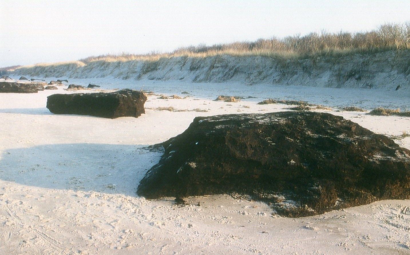 Bei heftigen Stürmen werden mächtige Torfblöcke aus dem Untergrund der Ostsee gerissen und an den Strand geworfen