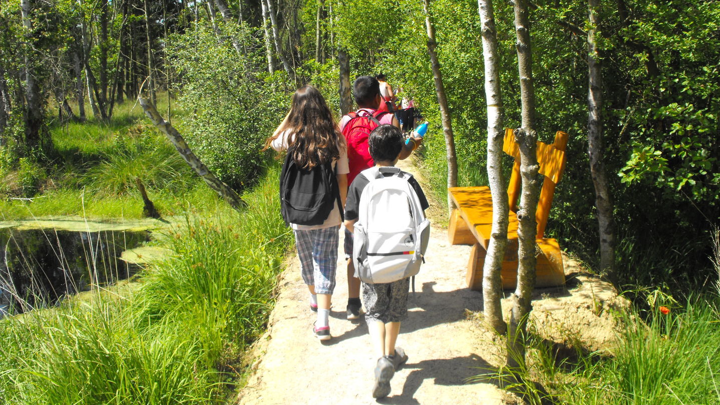 Wandern mit dem Förster