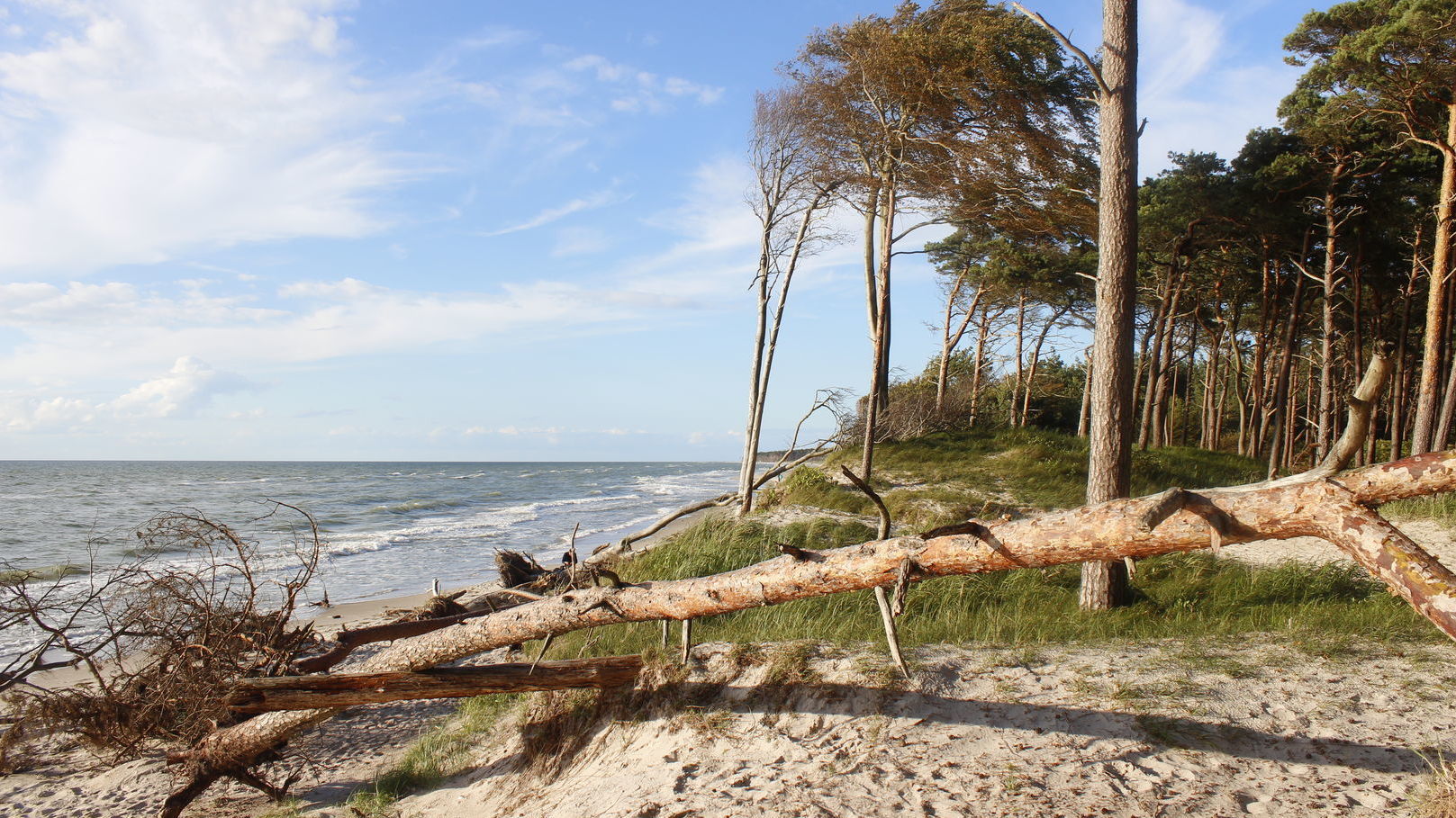 Fischland-Darß-Zingst