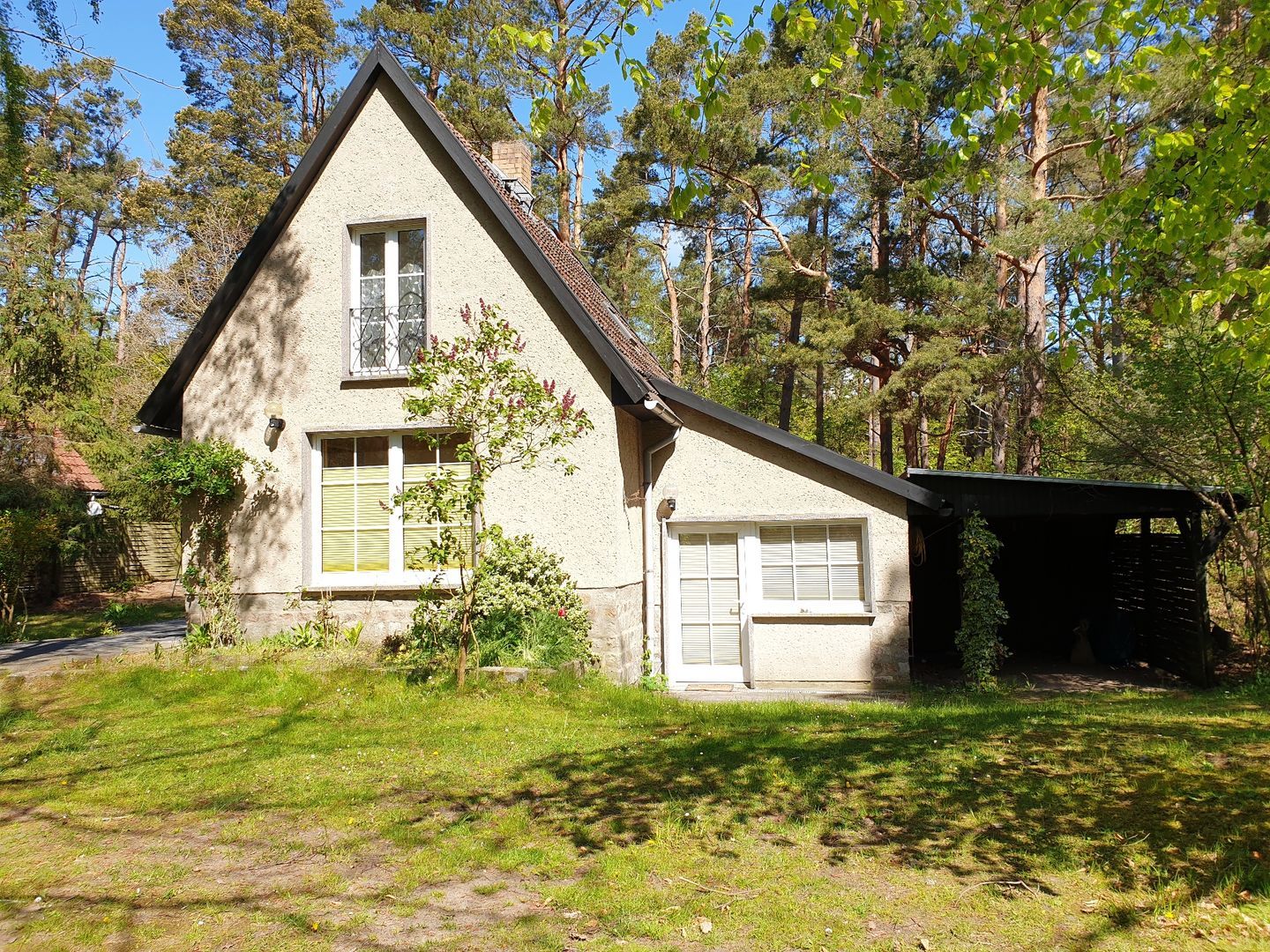 22+ nett Foto Haus Kaufen Ribnitz Damgarten Hauser