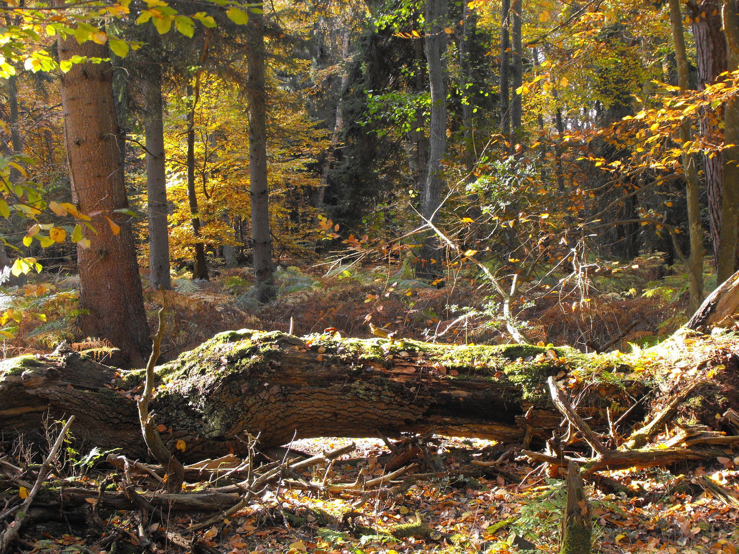 Beeindruckende Artenvielfalt