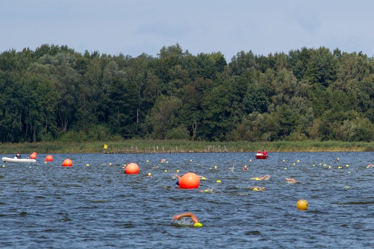 Boddenschwimmen 2019 Boddenschwimmen 2019