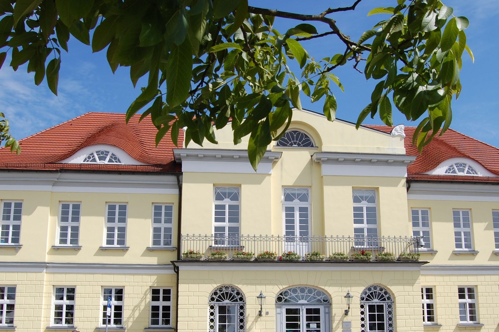Das Rathaus Ribnitz