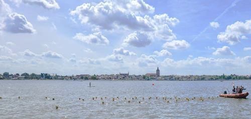 Boddenschwimmen