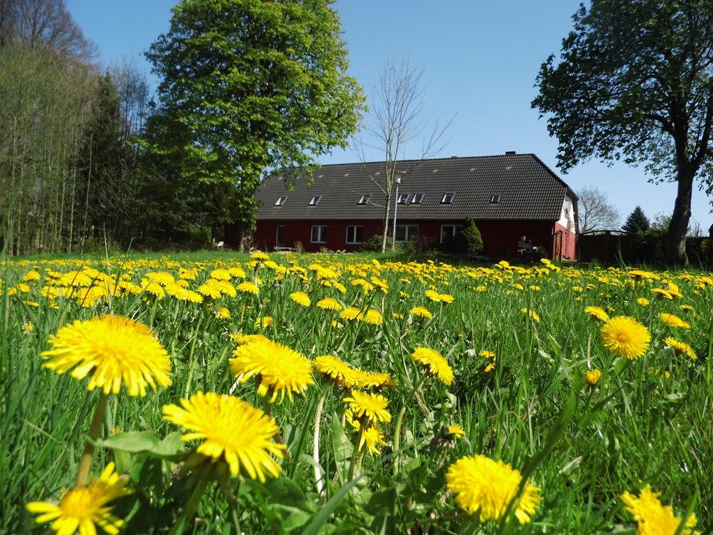 Ferien auf dem kleinen Bauernhof Ferien auf dem kleinen Bauernhof