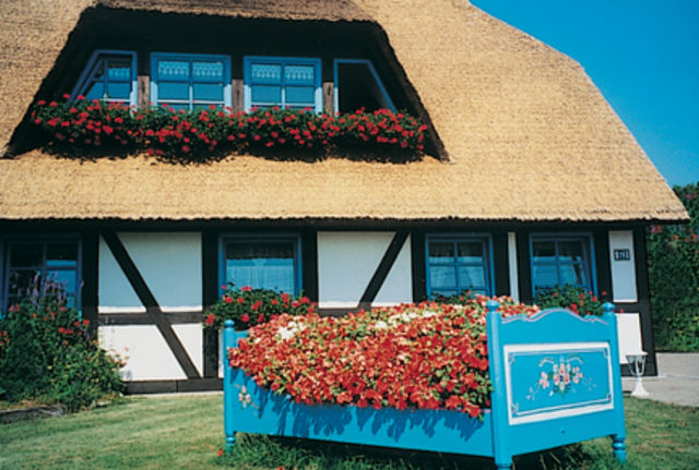 Pension Schwalbennest Pension Schwalbennest
