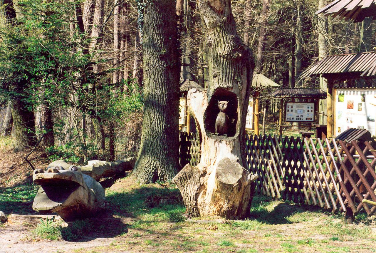 Infozentrum Wald und Moor Eingang Lehrpfad 