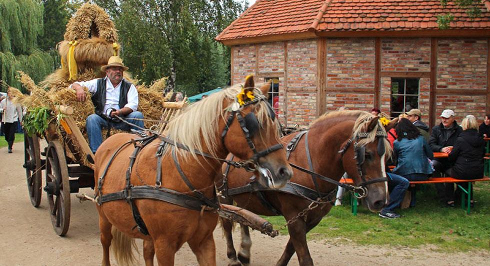  Erntefest mit Festumzug und Bauernmarkt