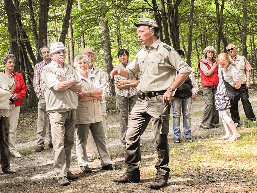 Wanderung mit dem Stadtförster Wanderung mit dem Stadtförster