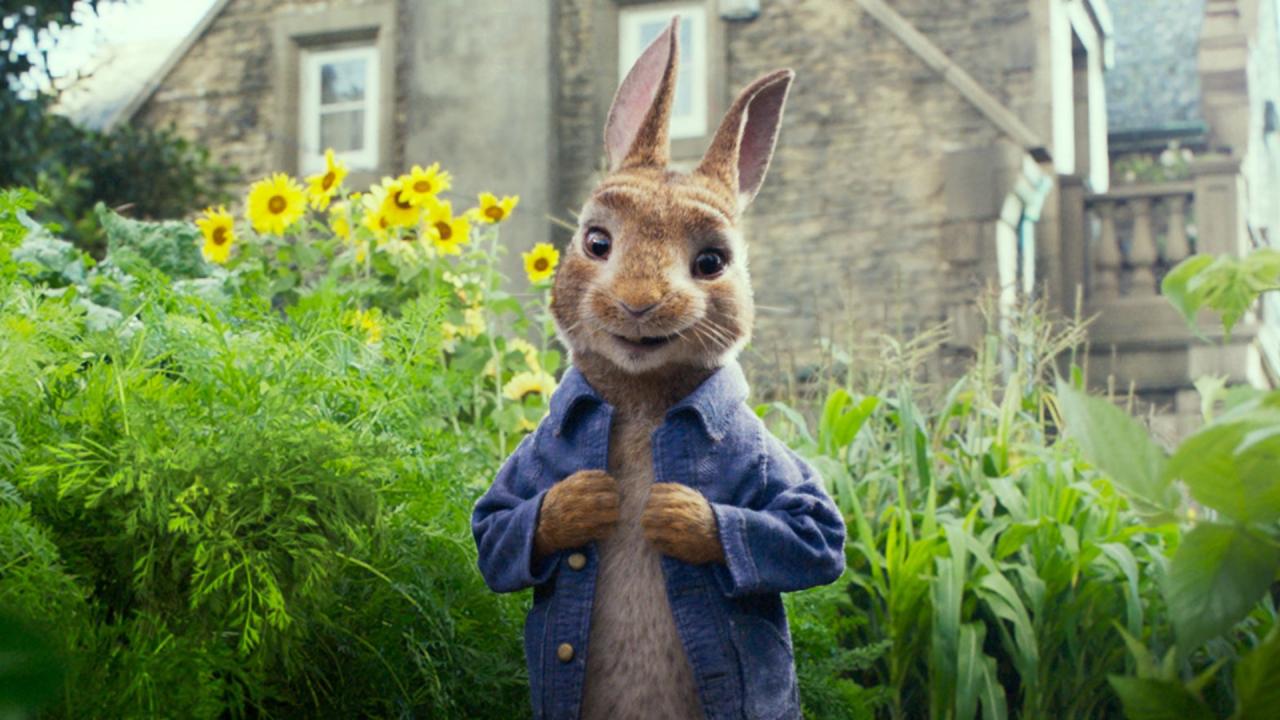 Peter Hase © Verleih Peter Hase